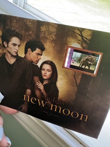 The twilight saga new - the,