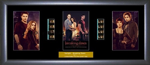 Twilight breaking dawn trio - twilight,